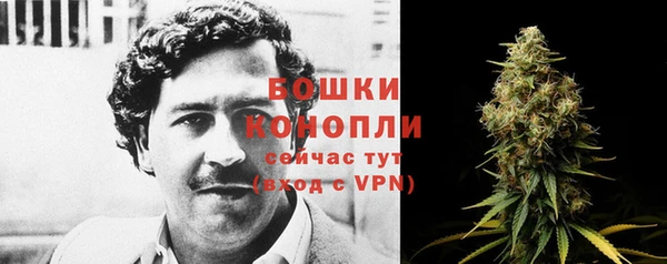 амф Семилуки