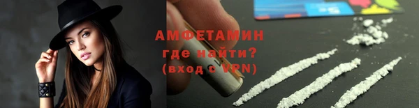 PSILOCYBIN Белокуриха