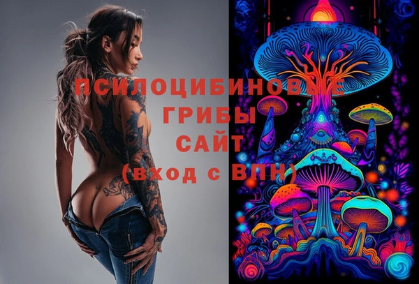 бутират Баксан